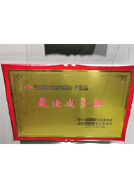 寶山區(qū)2019年度經(jīng)濟(jì)發(fā)展最佳成長獎