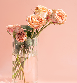 繼續(xù)前進(jìn) 永不止步--致晶宇的她們(圖5)